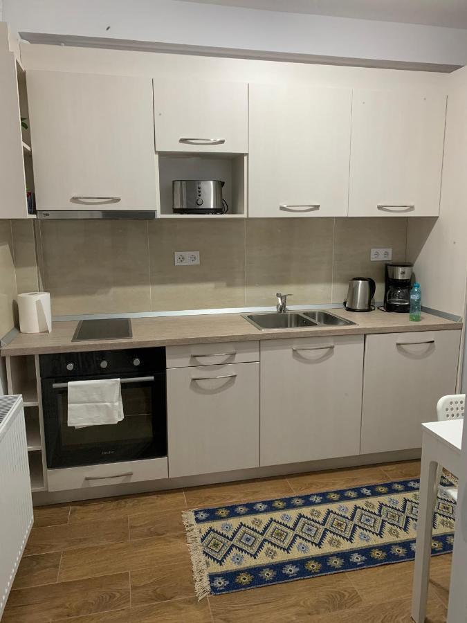 Welcoming Gemini Apartment 1 Sibiu Eksteriør bilde